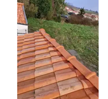 démoussage Les Sorinières-1