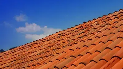 dépannage toiture Basse-Goulaine-4