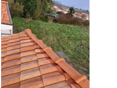 dépannage toiture Saint-Sébastien-sur-Loire-4