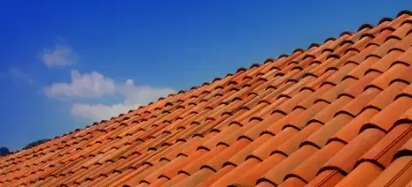 nettoyage toiture Basse-Goulaine-3