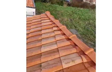 nettoyage toiture Basse-Goulaine-5