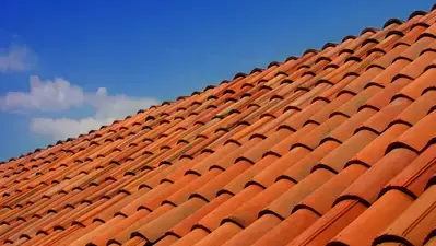 nettoyage toiture Nantes-3