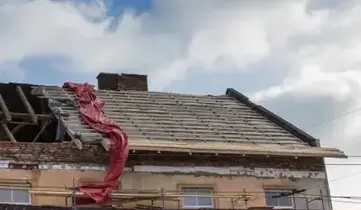 nettoyage toiture Rezé-2