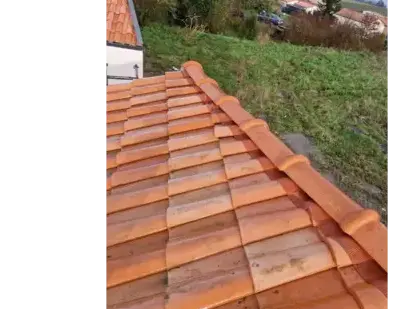 nettoyage toiture Saint-Sébastien-sur-Loire-3